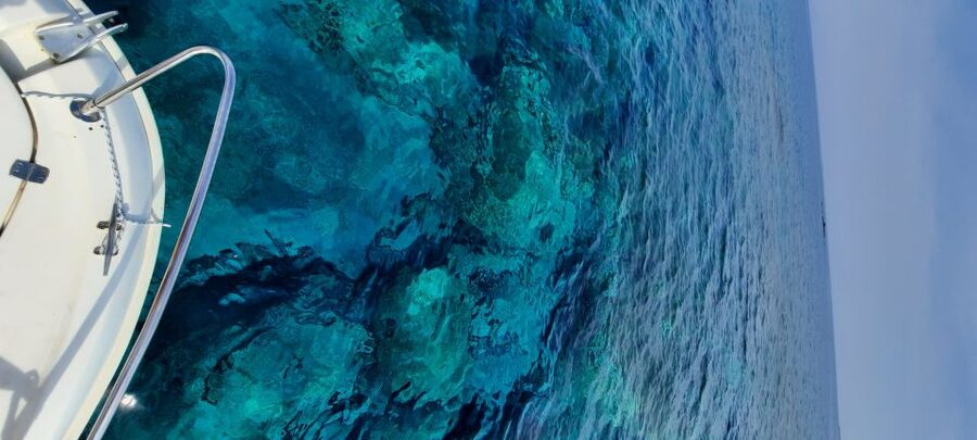 Dubrovnik: Blue Cave Tour by Speedboat - Finding the boat near Dubrovnik’s meeting point