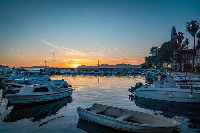 Dubrovnik: Elaphiti Islands 8 hours private tour with a speedboat - Who will enjoy this boat day most?