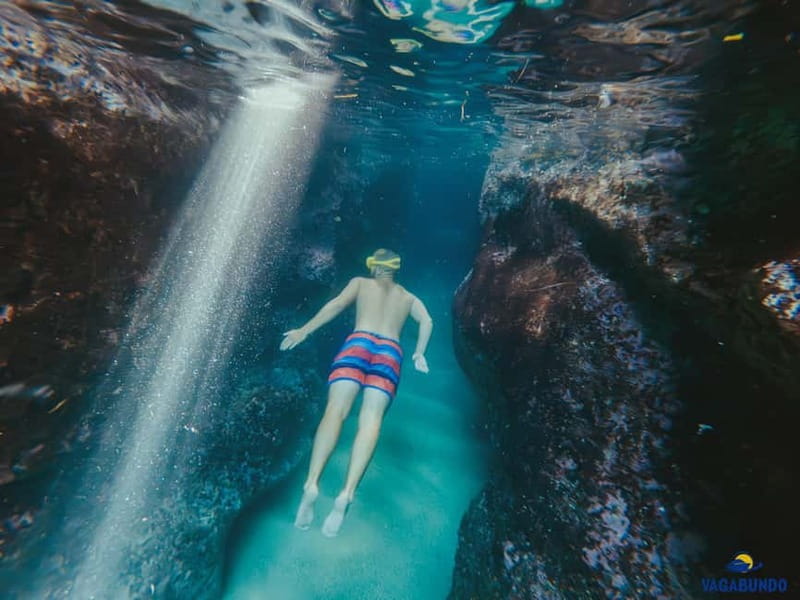 Dubrovnik: Morning Blue Cave speedboat tour with drinks - Koločep’s three Green Caves bring more action