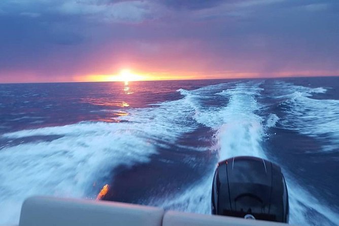 Dubrovnik Speedboat Quicksilver 675 Private Tours - Drinks, guiding, and the practical details