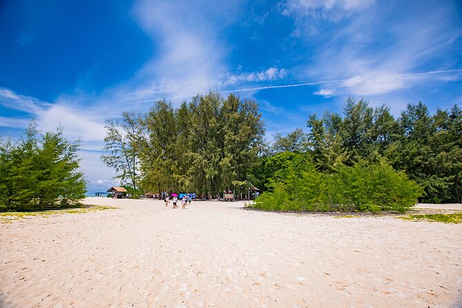 Early Bird Phi Phi Islands Tour From Phi Phi by Speedboat - Speedboat comfort and group size
