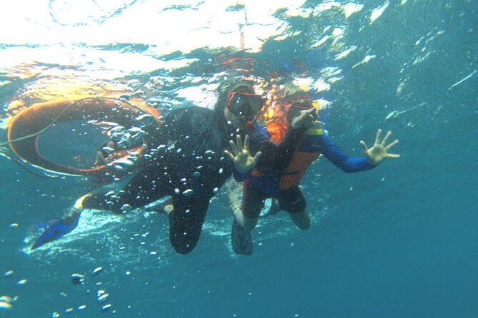 Early Bird Speedboat Group Tour : Explore Komodo Ahead of Crowds - Komodo Island and the dragon trek