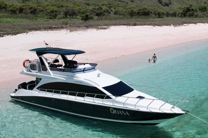 Early Morning Private Komodo Speedboat Tour - Komodo Island and the search for dragons