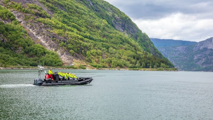 Eidfjord: 1-Hour Fjord RIB Tour - Leaving Eidfjord Harbor at speed