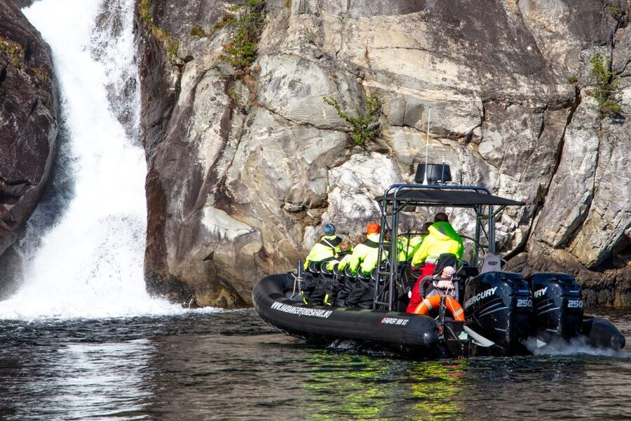 Eidfjord: 1-Hour Fjord RIB Tour - Wildlife watching from the RIB