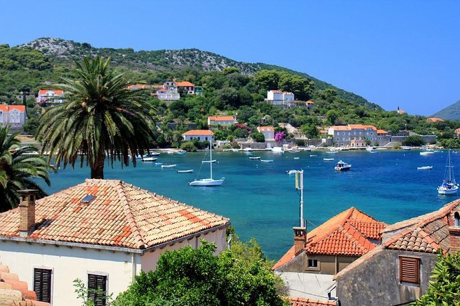 Elafiti Islands Private Tour with Fisher 20 Speedboat - Šunj Beach: soft sand and shallow water