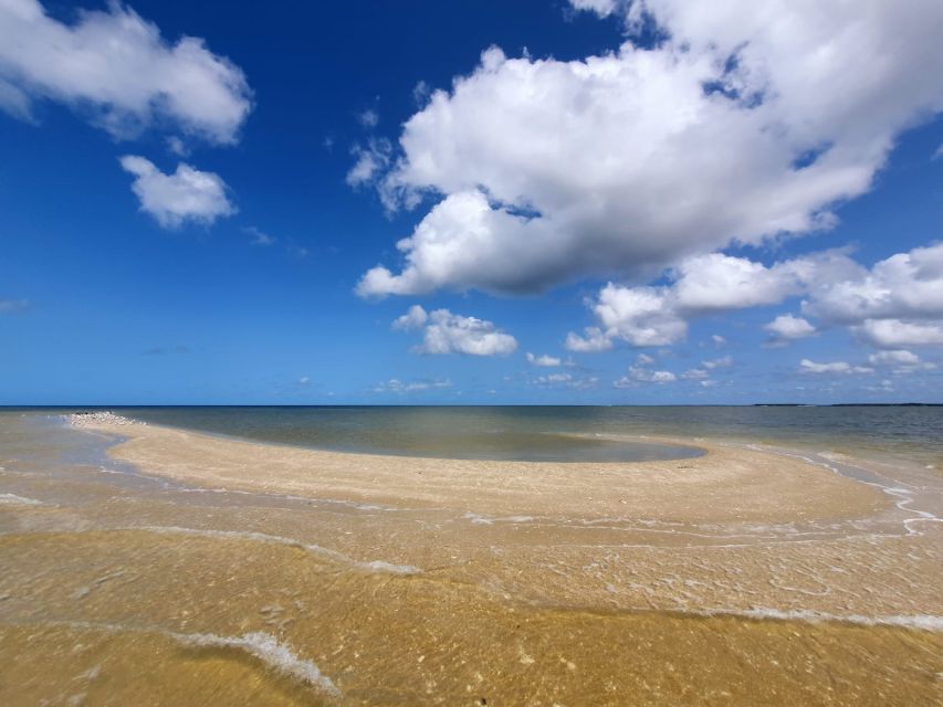 Everglades National Park: Motorboat Eco Tour - Key points to know before you book