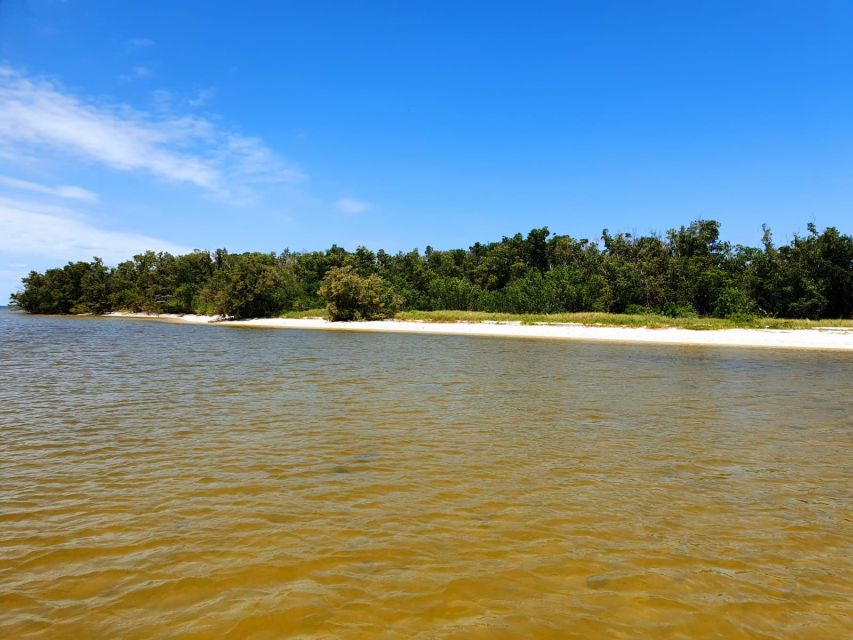 Everglades National Park: Motorboat Eco Tour - How the value compares with the cost