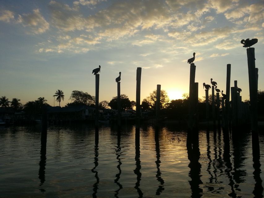 Everglades National Park: Motorboat Eco Tour - A small boat into the 10,000 Islands