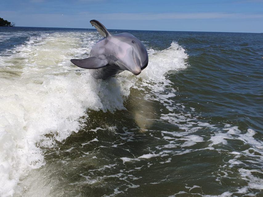 Everglades National Park: Motorboat Eco Tour - The island stop gives the tour texture