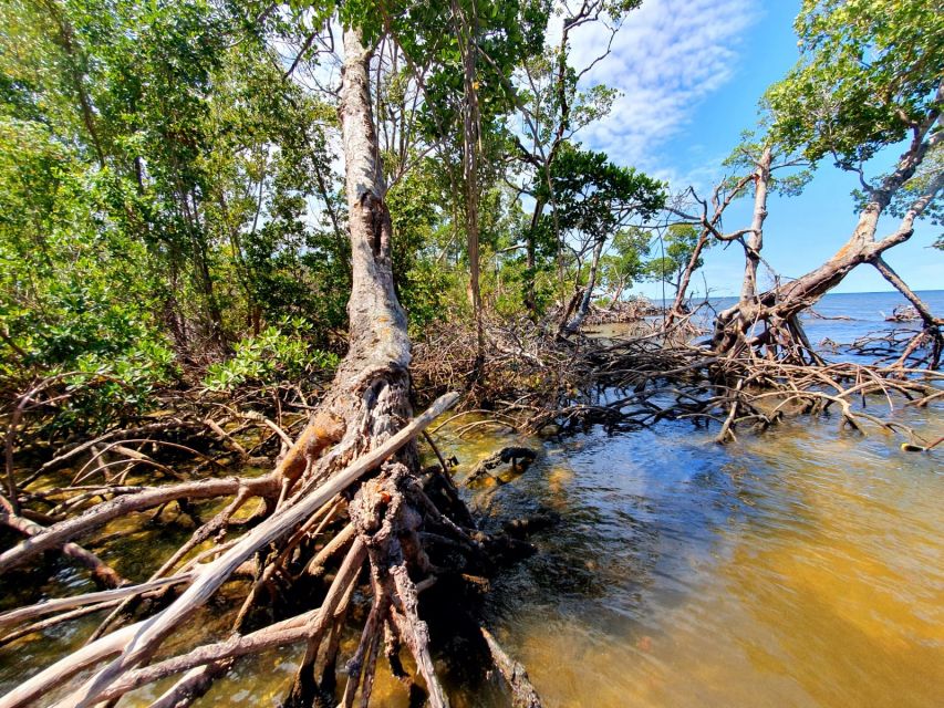 Everglades National Park: Motorboat Eco Tour - Who will enjoy this tour most