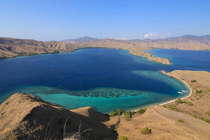Exclusive Early Bird Komodo Tour: Beat the Crowds by Speed Boat - Padar Island: the view is earned one step at a time