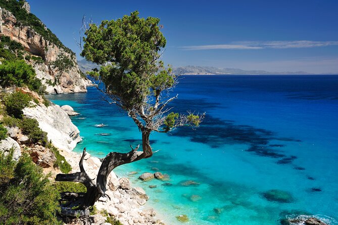 Exclusive Rib for Tours Along the Baunei Coast - Cala Luna combines beach time and a meal option