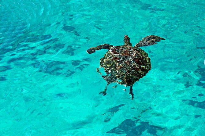 Exclusive Similan Island by Speed Boat - Who should book this tour
