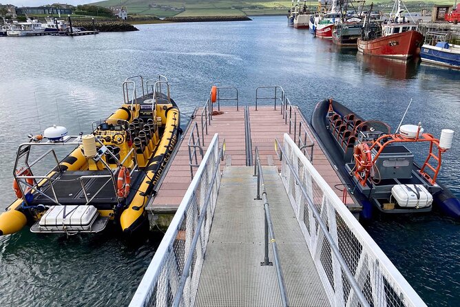 Exhilarating Rib experience - Dingle sea safari - Price and value at about $120.93