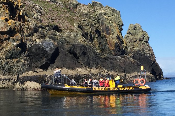 Exhilarating Rib experience - Dingle sea safari - Weather, cancellations, and planning your day