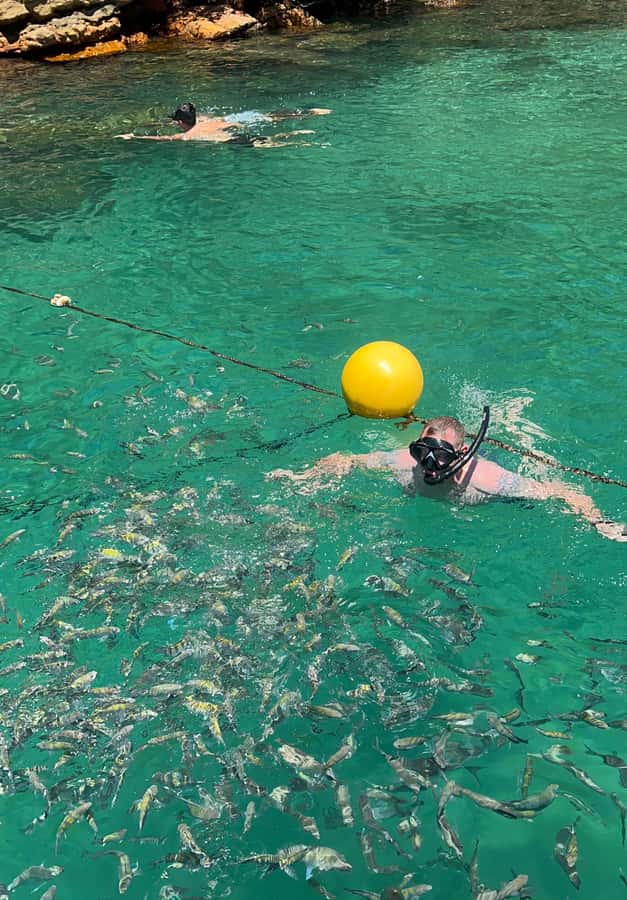 Experience Paradise Ilha Grande in a Speedboat Private - From hotel pickup to the Angra dos Reis coast