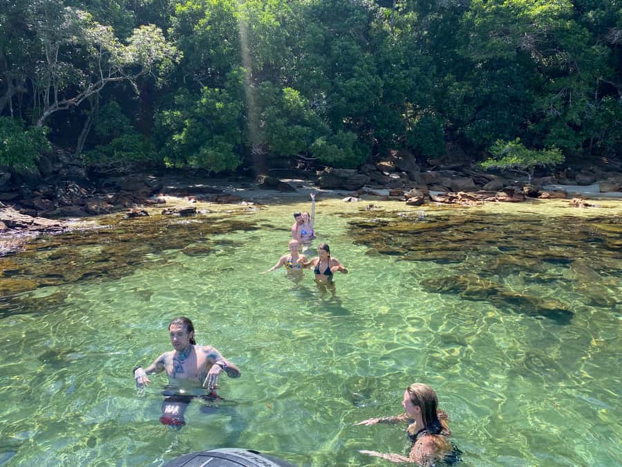 Experience Paradise Ilha Grande in a Speedboat Private - Snorkeling among reefs and marine life