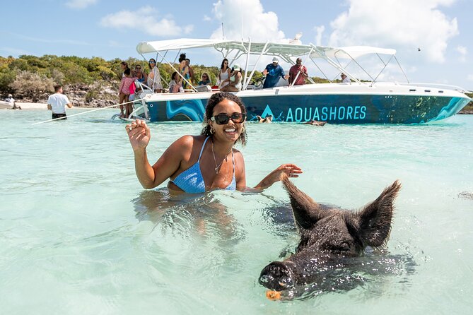 Exuma Powerboat Tour from Nassau with Swimming Pigs - Norman’s Cay and the sunken plane