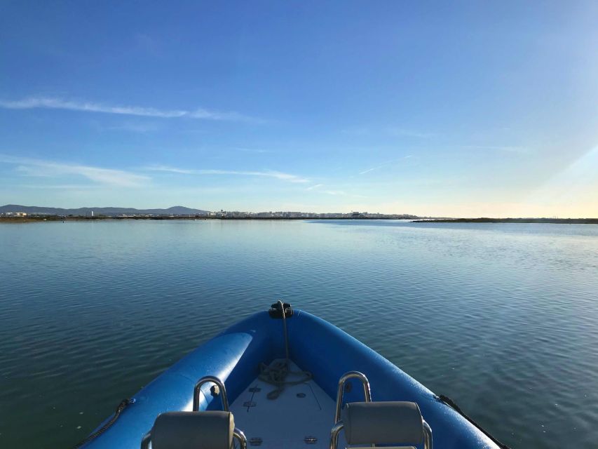 Faro: Speed Boat Tour - Leaving Faro Marina with a local skipper