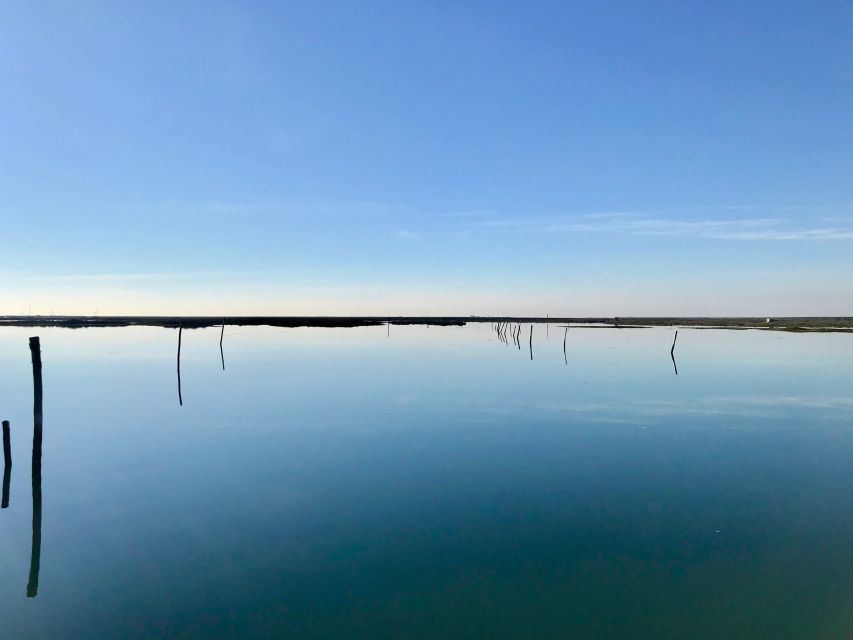 Faro: Speed Boat Tour - Should you book the Faro Speed Boat Tour?