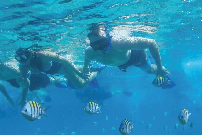 Fast & Fun: Cancun Speedboat Tour with Snorkeling - What the $58 price really buys