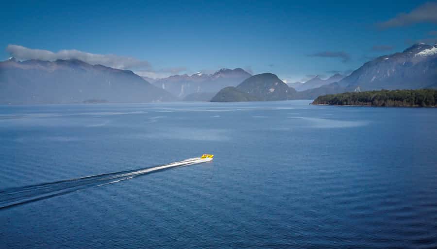Fiordland: Jet Boat & Nature Walk Experience from Te Anau - What $116 gets you