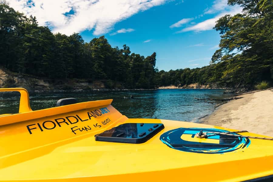 Fiordland: Jet Boat & Nature Walk Experience from Te Anau - Who will enjoy this Fiordland outing?