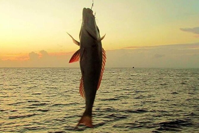 Fishing and Snorkelling by Speedboat Tour - Hurghada - Hotel pickup and the four-hour schedule