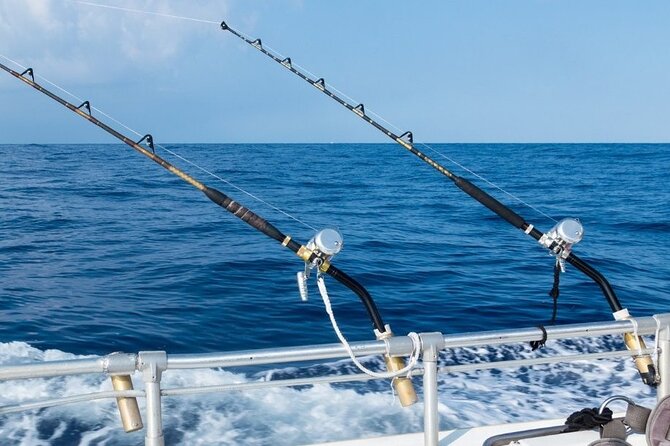 Fishing and Snorkelling by Speedboat Tour - Hurghada - Snorkeling over coral and fish