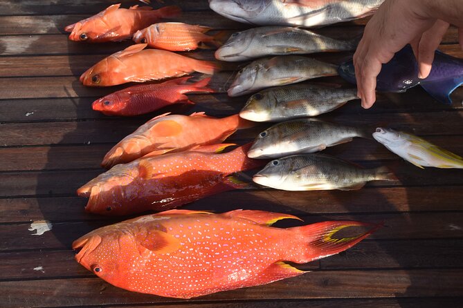 Fishing and Snorkelling by Speedboat Tour - Hurghada - Fishing at two separate spots