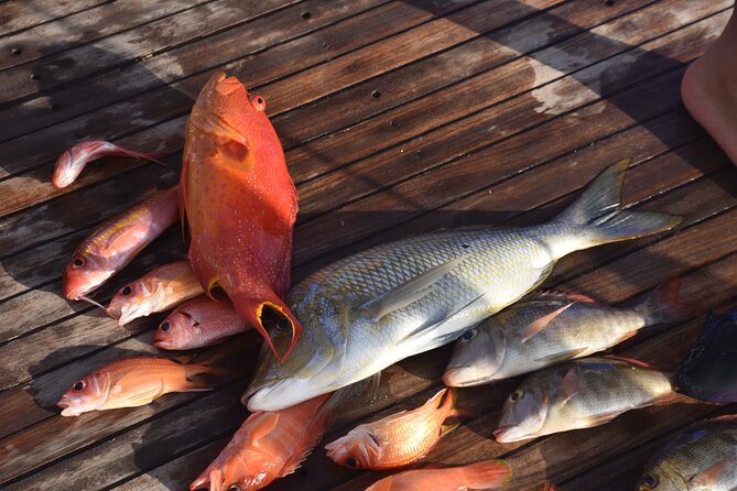 Fishing & Snorkeling Sea Trip by Speed Boat and Transfer-Hurghada - A fast start from your Hurghada hotel