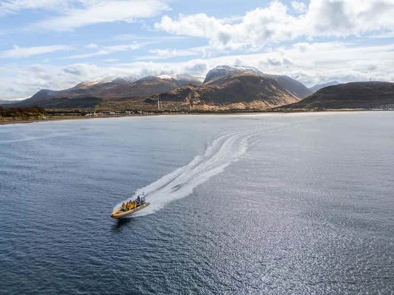 Fort William: 1hr Loch Safari Speedboat Tour - Why this one-hour Fort William ride works