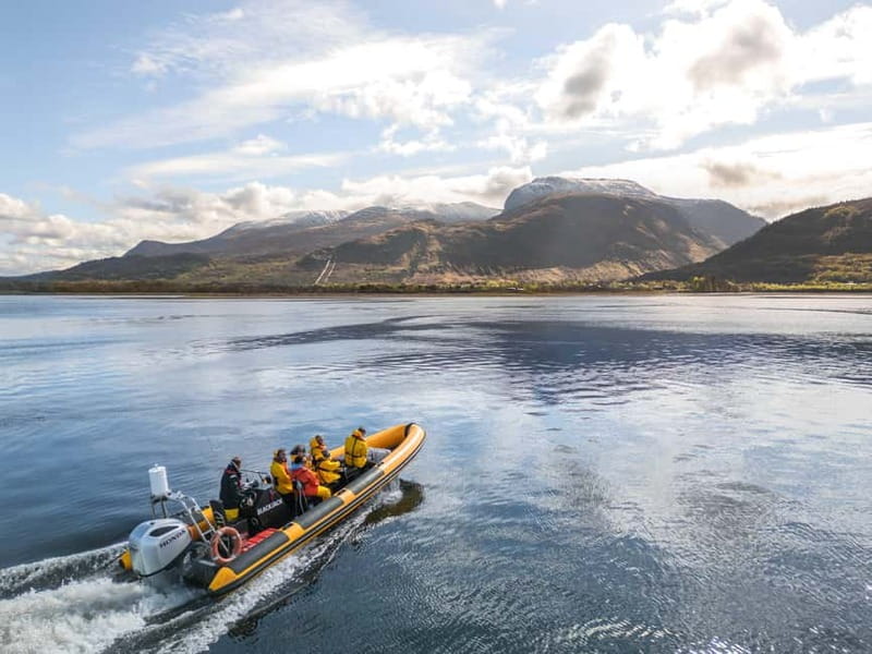 Fort William: 1hr Loch Safari Speedboat Tour - Corpach, Loch Eil, and Ben Nevis from the water
