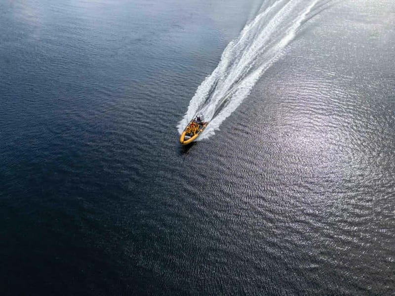 Fort William: 1hr Loch Safari Speedboat Tour - The speed section and the Highland breeze
