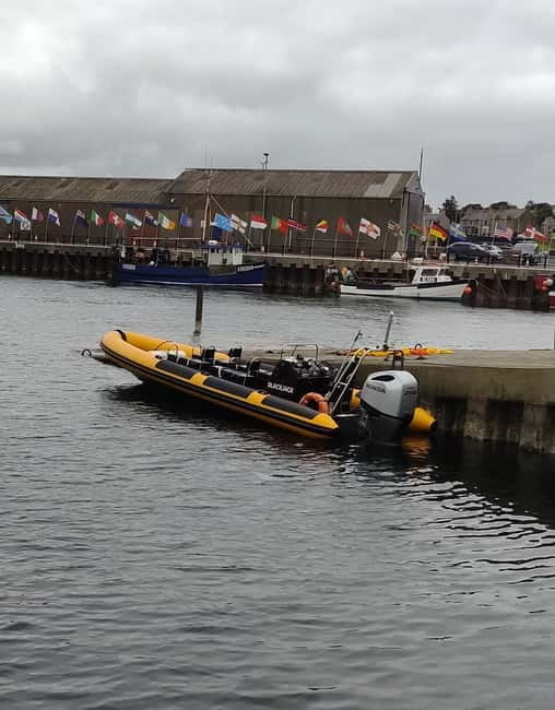 Fort William: 1hr Loch Safari Speedboat Tour - Who should book this Fort William speedboat safari