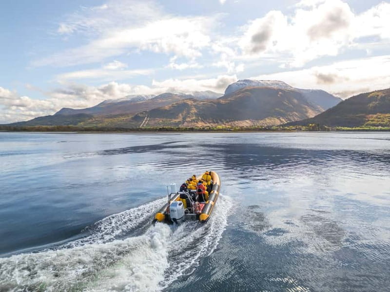 Fort William: 1hr Loch Safari Speedboat Tour - Leaving West End Car Park Pontoons