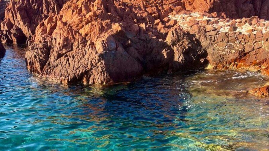 Fréjus: Estérel Calanques Speedboat Tour + Swim Stop - The Mediterranean swim stop