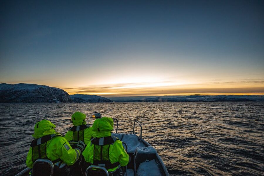 From Alta: Small Group Whale Watching by RIB - From Alta city center to the right harbor