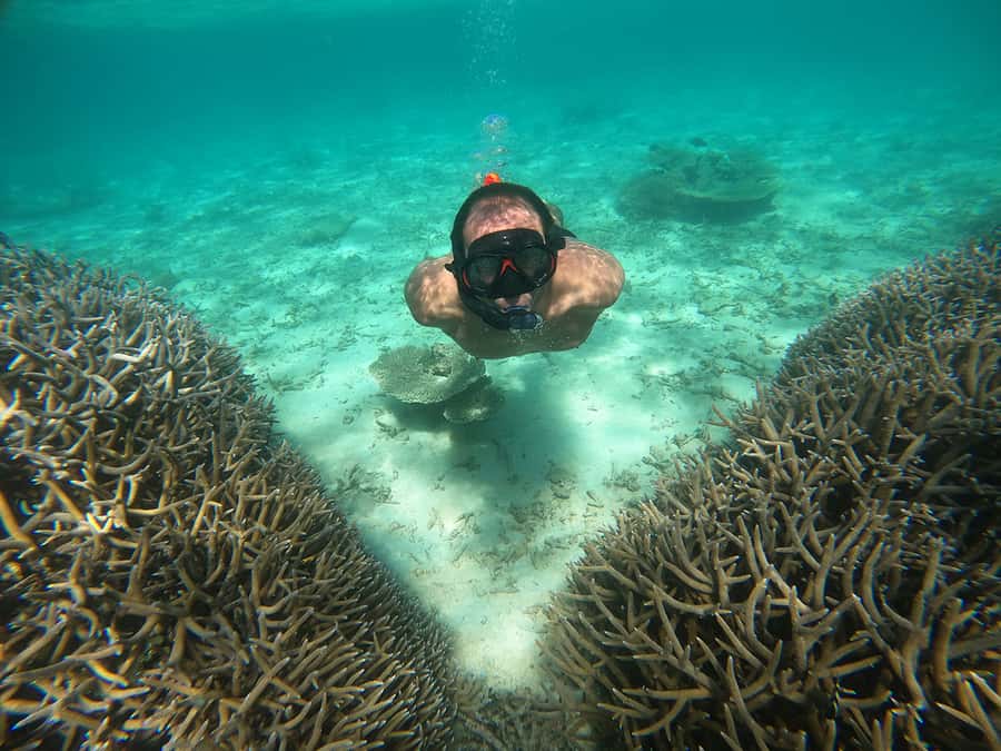 From Blue Bay: Ile aux Cerfs Speedboat Excursion with BBQ - Key points at a glance