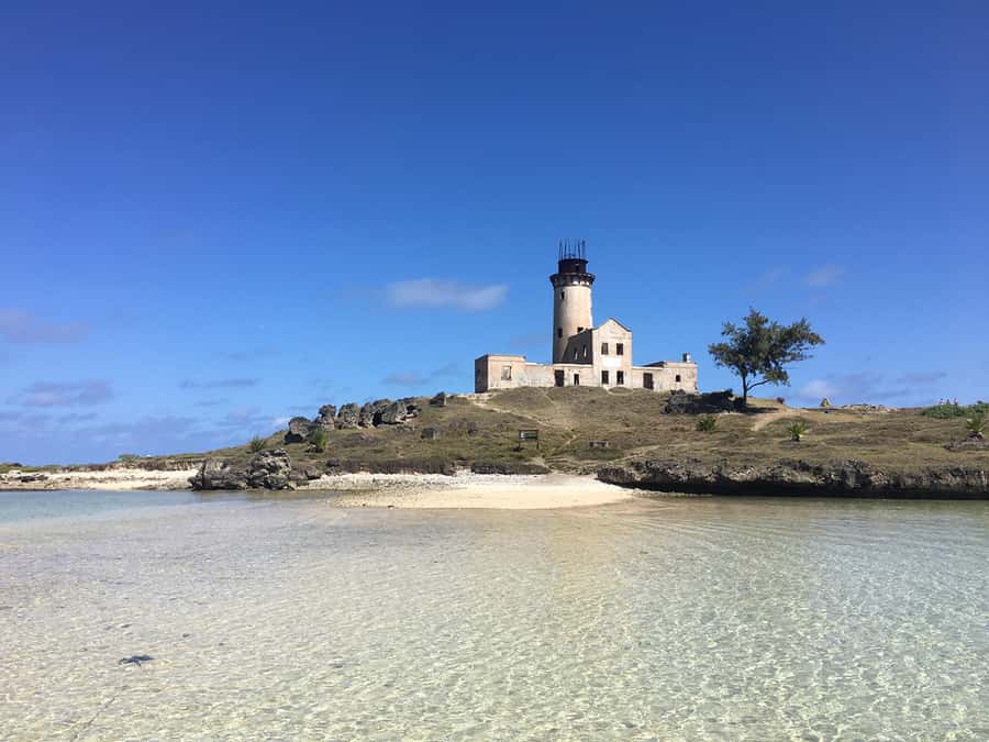 From Blue Bay: Ile aux Cerfs Speedboat Excursion with BBQ - Ile aux Aigrettes and the final swim