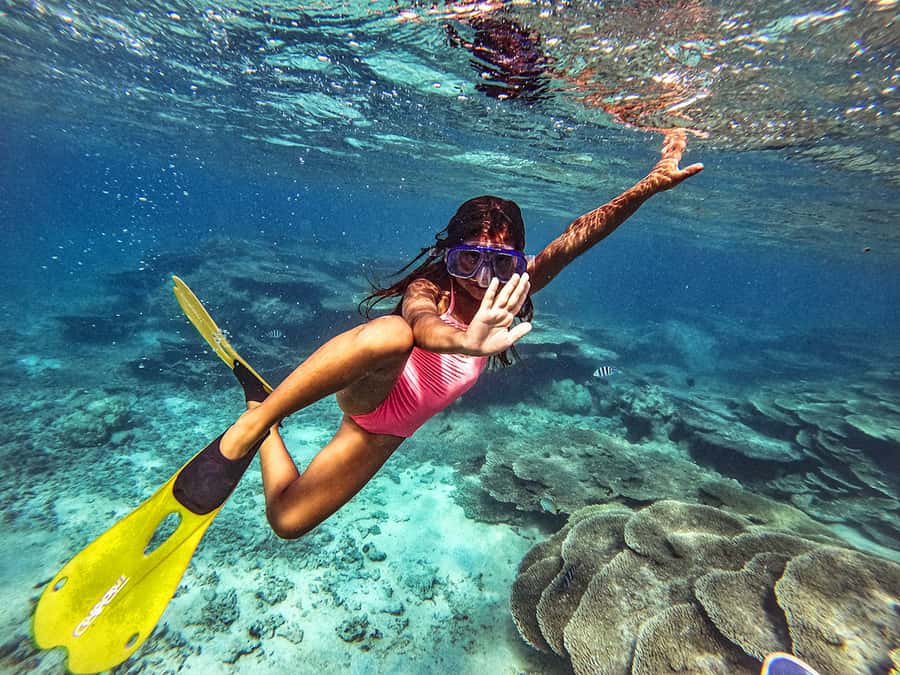 From Blue Bay: Ile aux Cerfs Speedboat Excursion with BBQ - Blue Bay Marine Park and the first snorkel