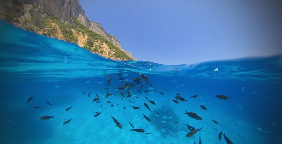From Cala Gonone: Gulf of Orosei Speedboat Trip and Aperitif - Caletta Ziu Santoru, a quiet first stop