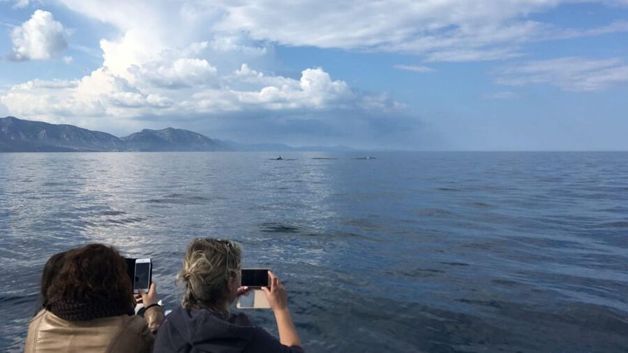 From Cala Gonone: naturalistic excursion on a RIB - Comfort, group size, and who should book
