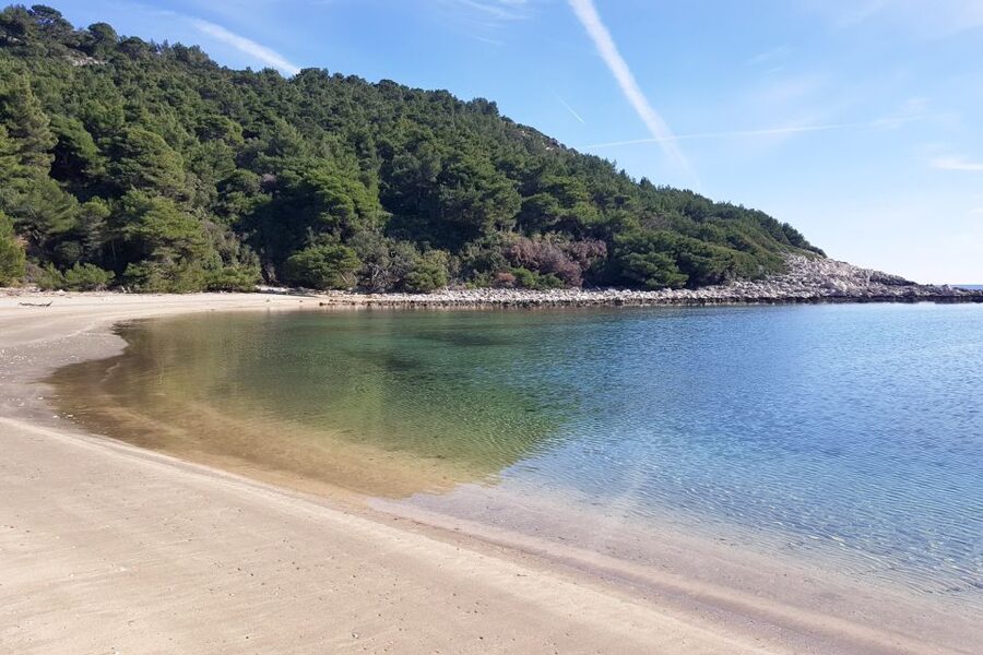From Dubrovnik: Pvt Speedboat Cruise to Mljet&Sipanska Luka - Should you book the Sipan and Mljet speedboat tour?