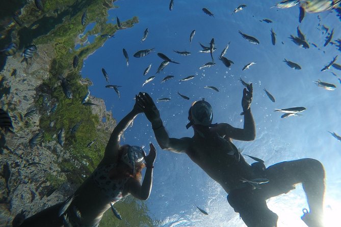 From Khao Lak : Full-Day Private Phi Phi Islands Speedboat Charter - Bamboo Island is the day’s best chance to slow down