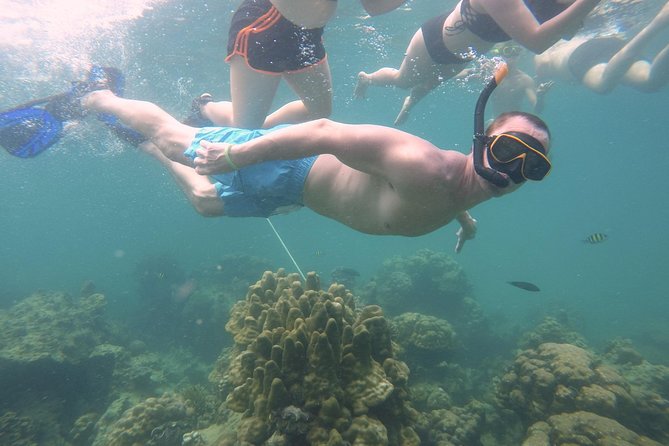 From Khao Lak : Full-Day Private Phi Phi Islands Speedboat Charter - What the private format is really worth