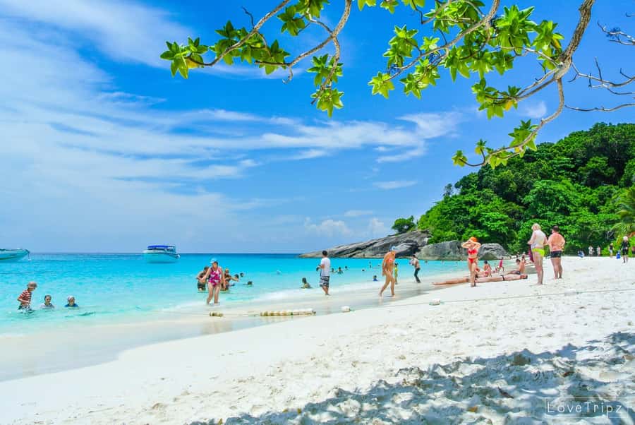 From Khao Lak & Phuket: Trip to Similan Islands by Speedboat - The 80-minute speedboat ride to the islands