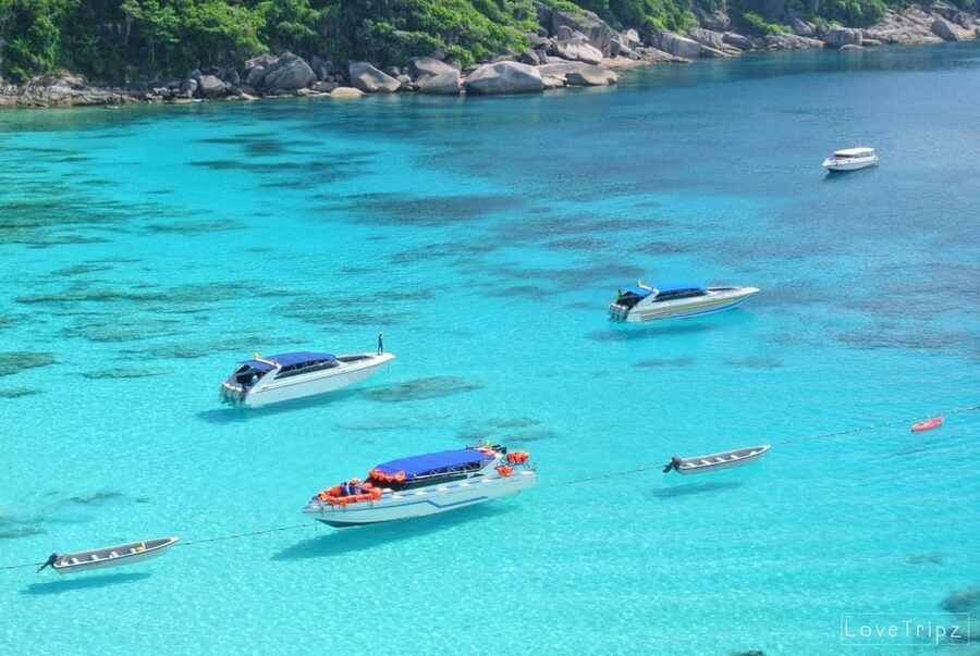 From Khao Lak & Phuket: Trip to Similan Islands by Speedboat - Ko Payu and the search for Nemo