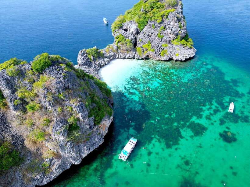 From Koh Lanta: Koh Haa & Koh Rok Snorkel Tour by Speedboat - Key points to know before booking